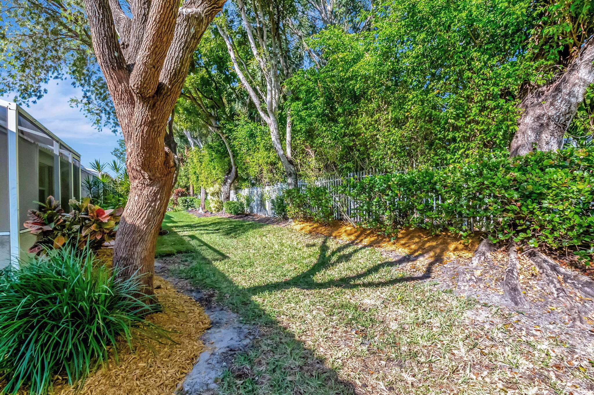 6065 Petunia Road
