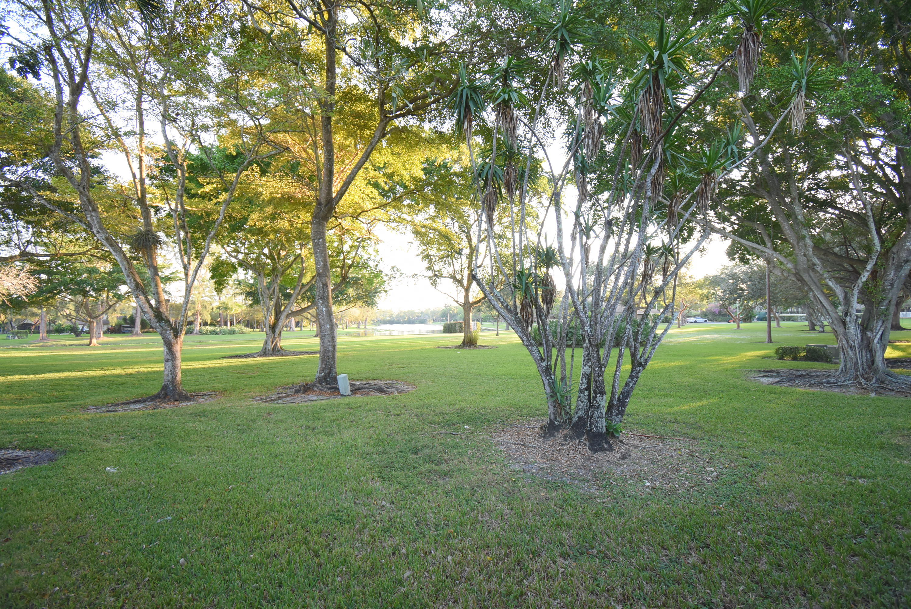 22309 Whistling Pines Lane 67c