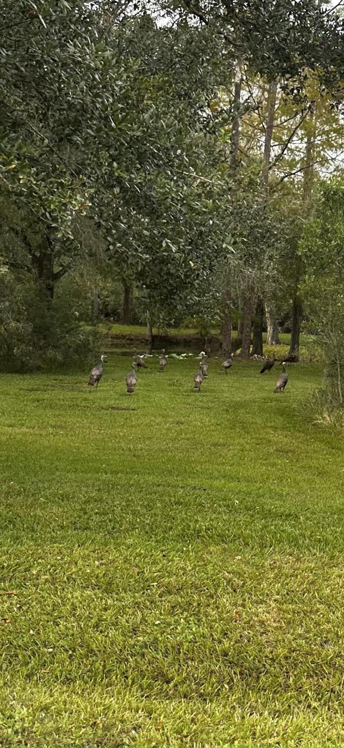 32801 Us Highway 441n Lot 167