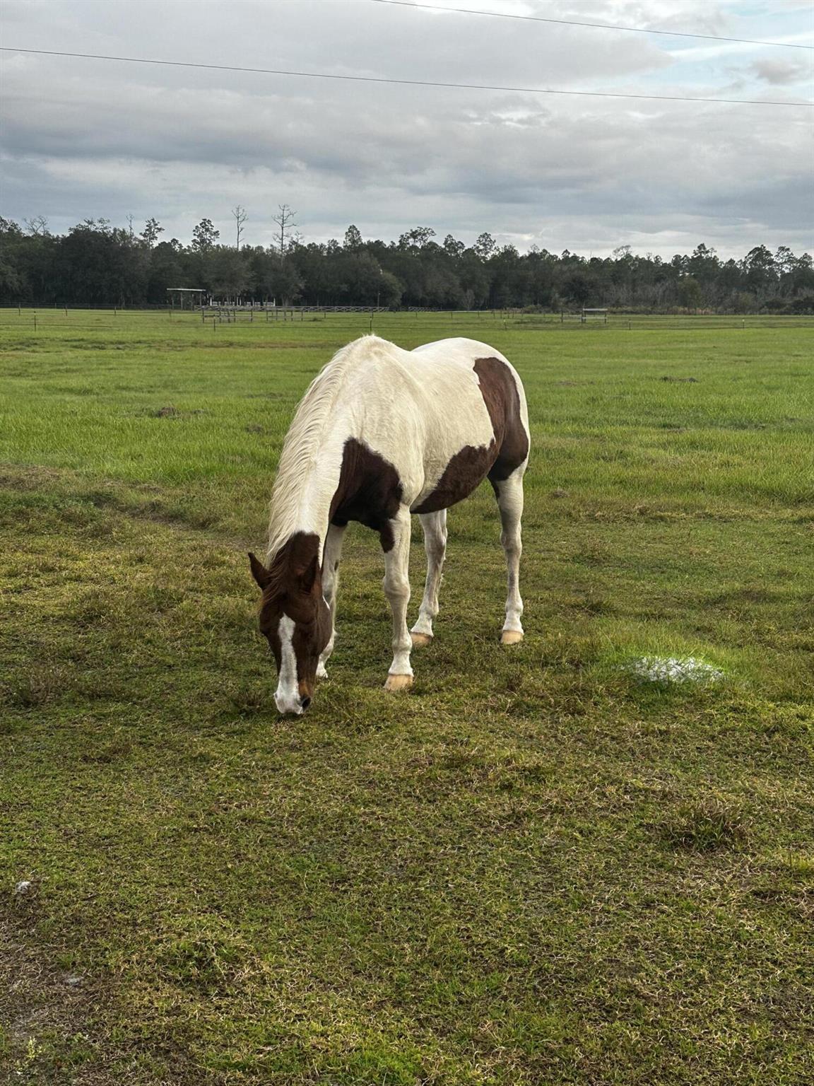 32801 Us Highway 441n Lot 167