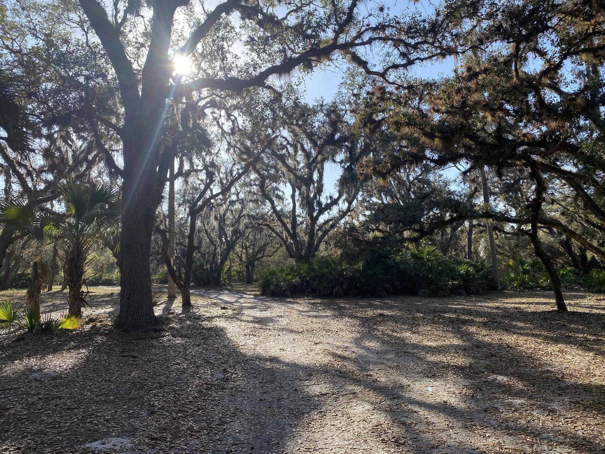 32801 Us Highway 441n Lot 166