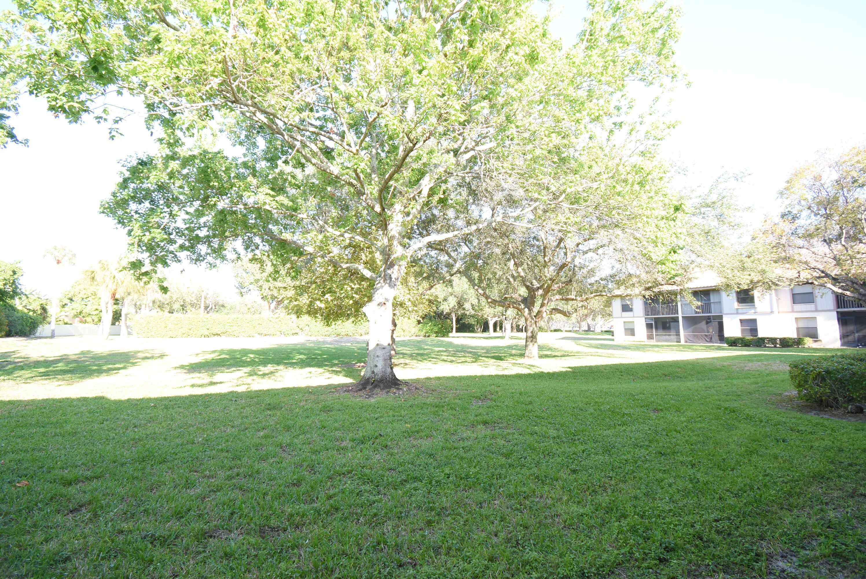 3130 Millwood Ter 1100 Terrace 110