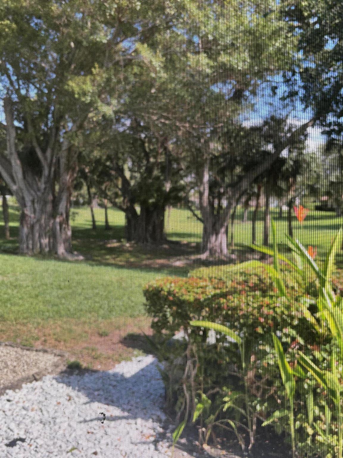 479 Hardwood Place 479