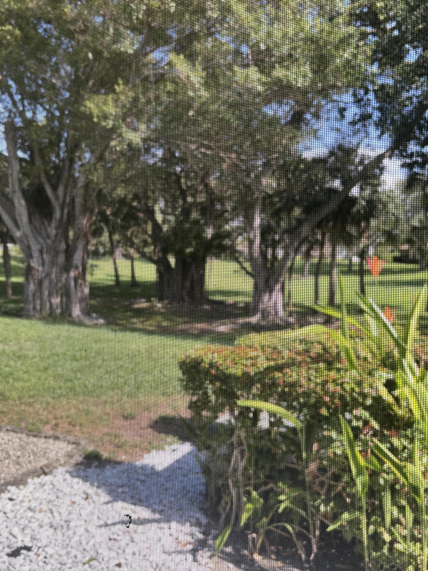 479 Hardwood Place 479