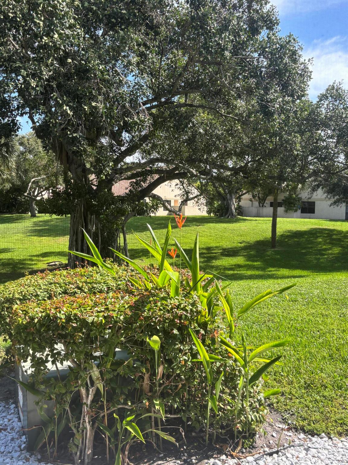 479 Hardwood Place 479