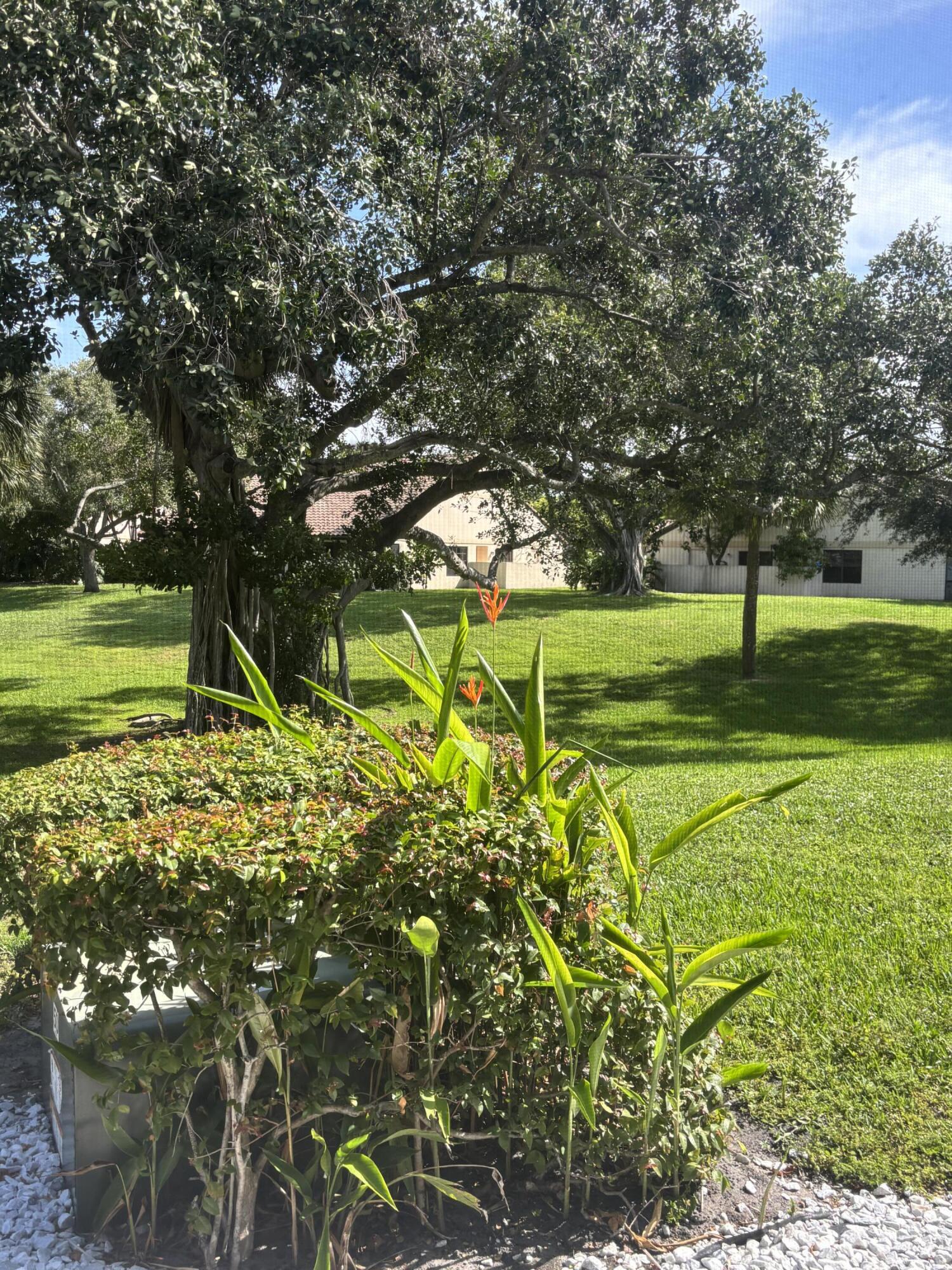 479 Hardwood Place 479