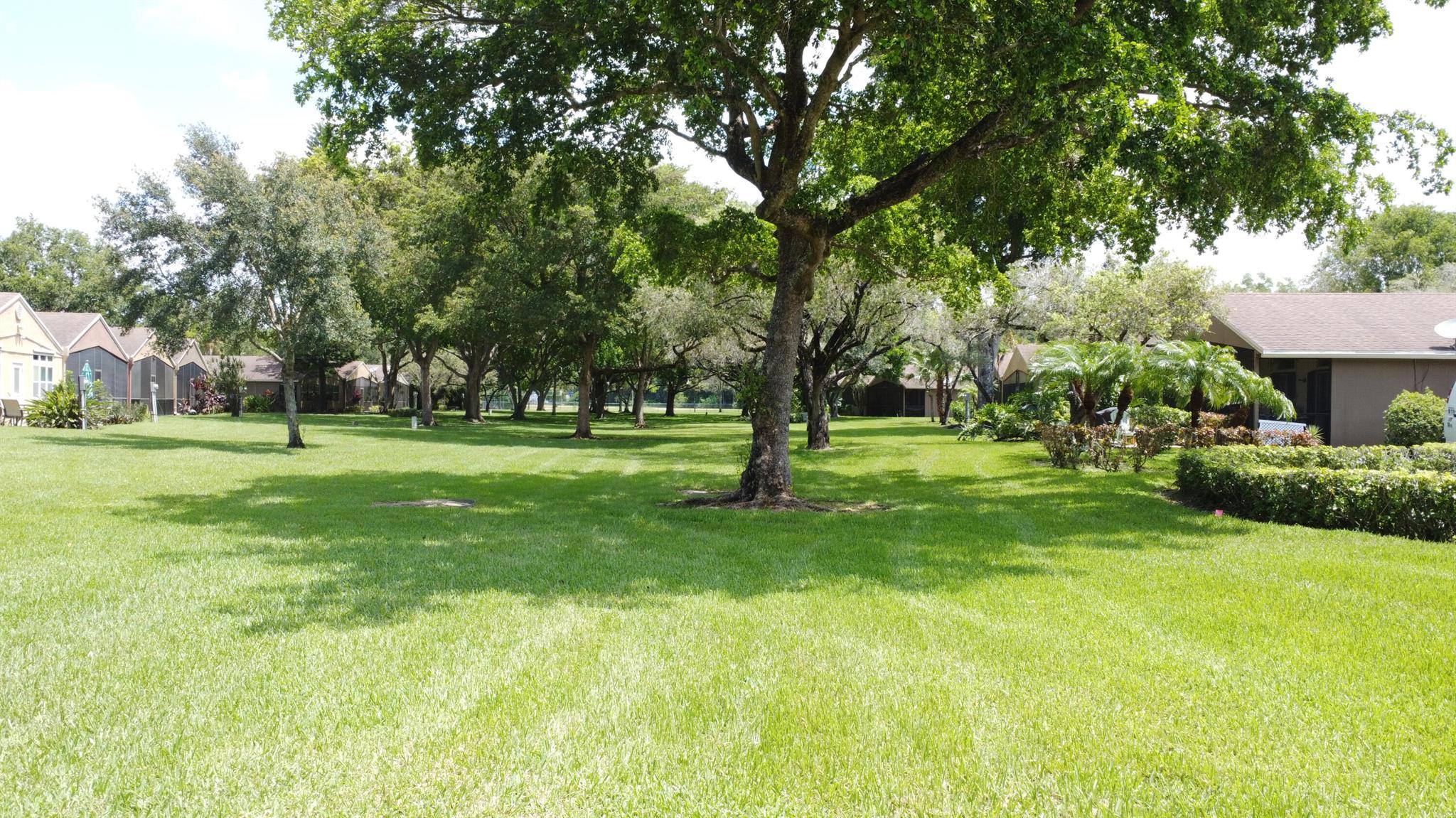 22292 Misty Woods Way