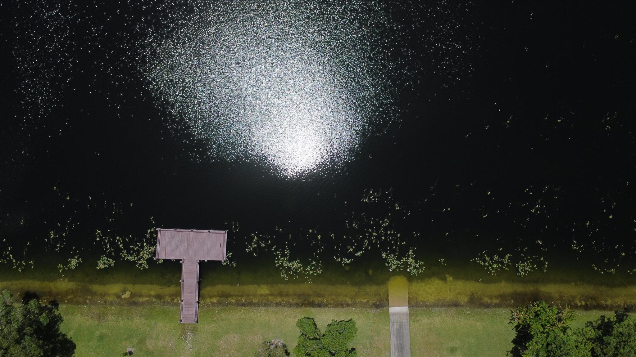 22292 Misty Woods Way