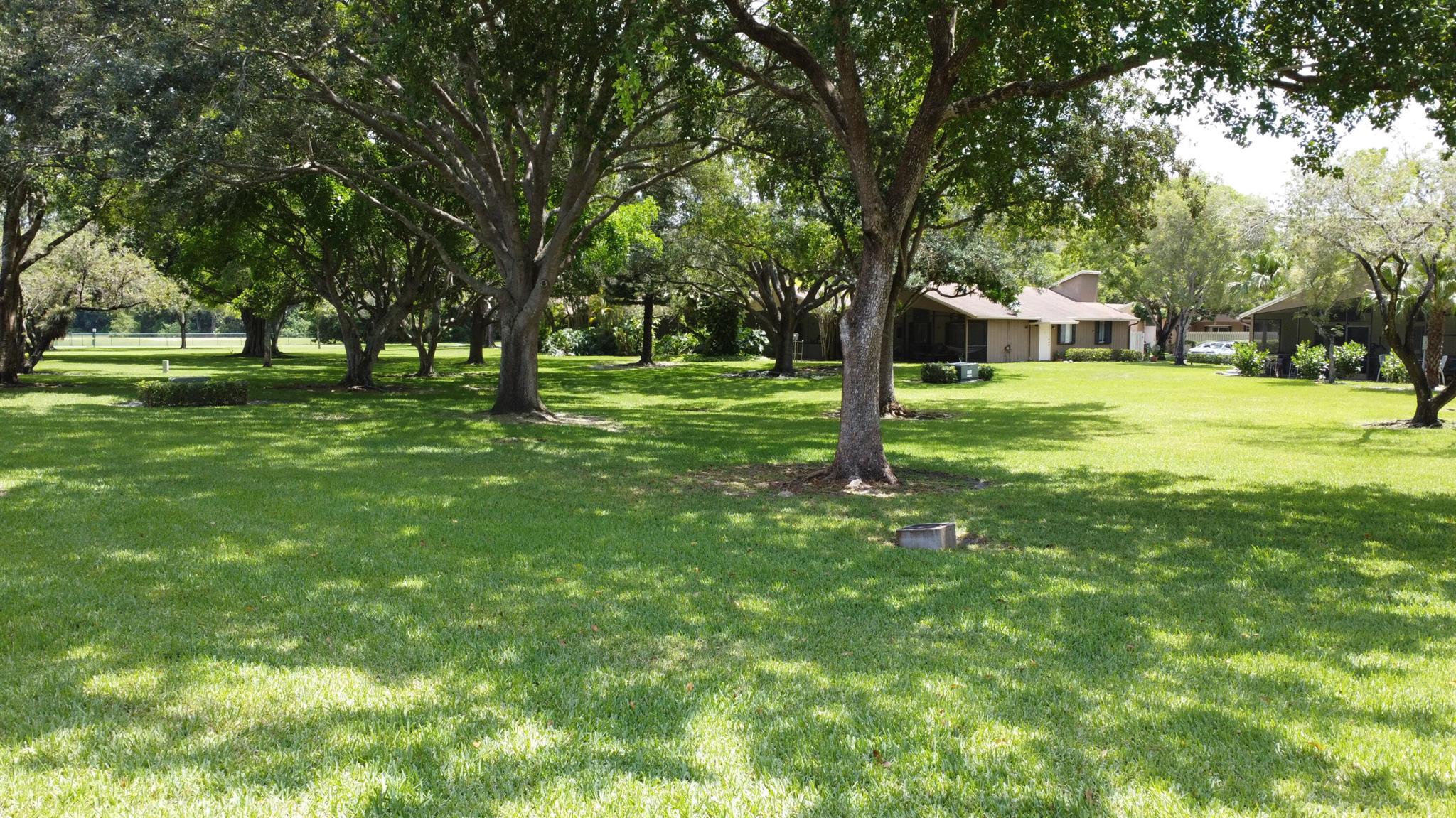 22292 Misty Woods Way