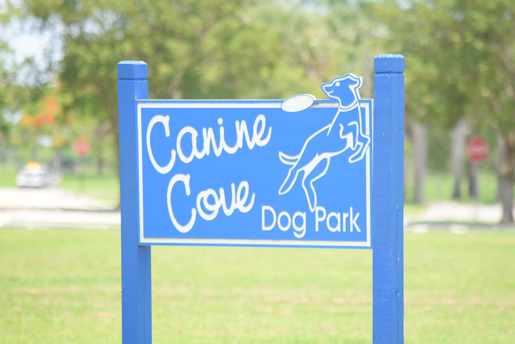 22292 Misty Woods Way