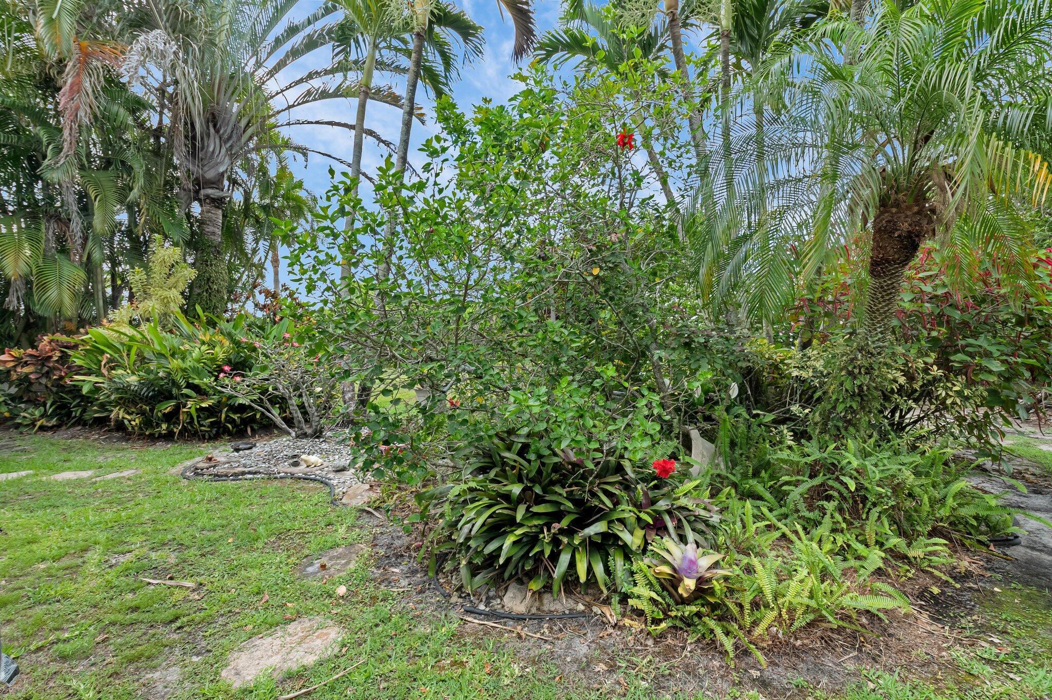 7834 Stirling Bridge Boulevard S