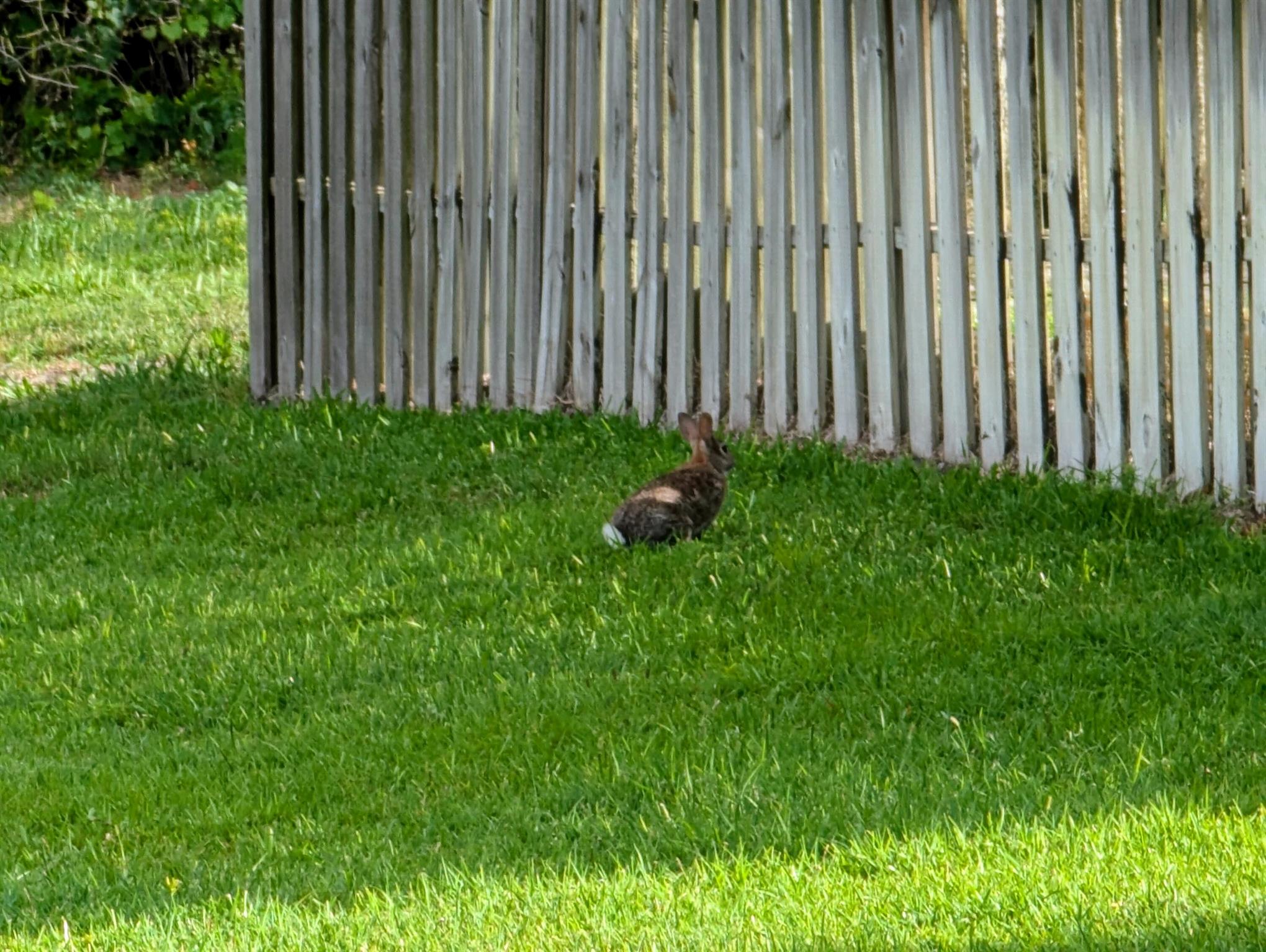 3074 SE Dalhart Road