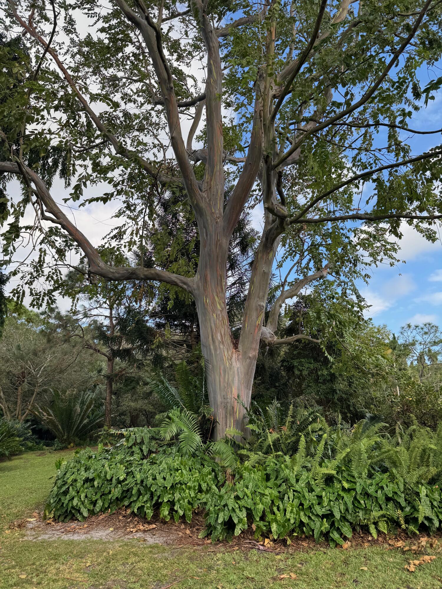 2910 Deer Creek Country Club Boulevard