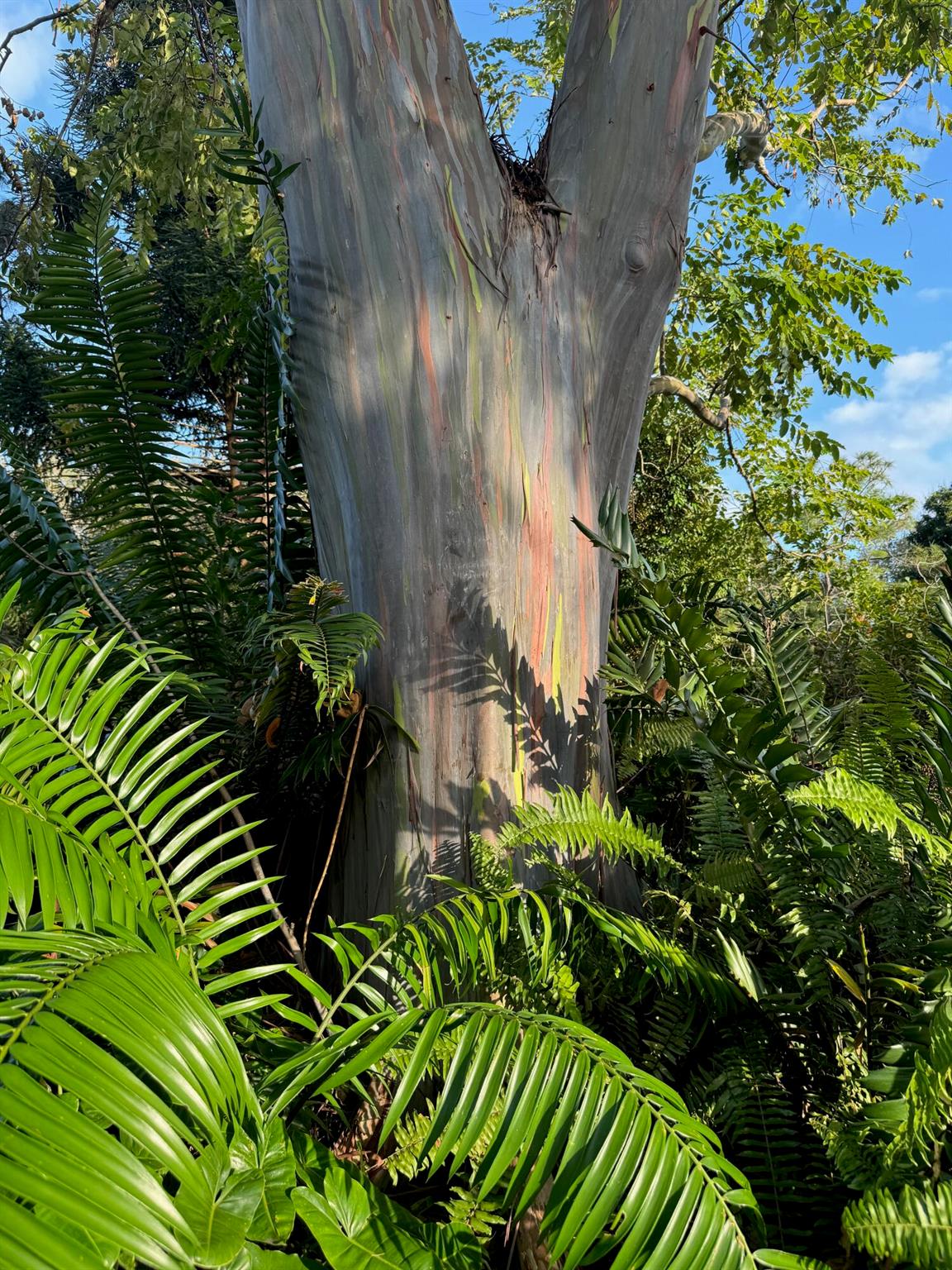 2910 Deer Creek Country Club Boulevard