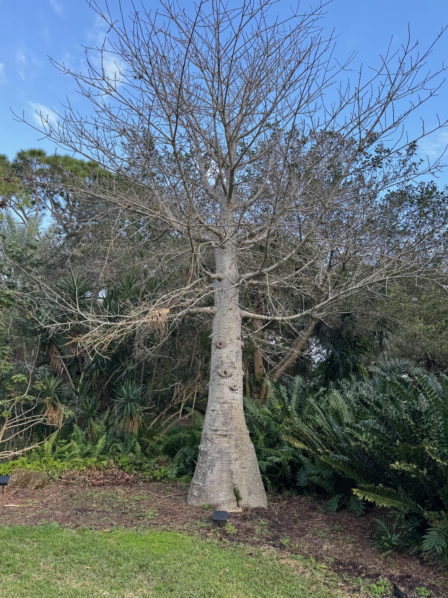 2910 Deer Creek Country Club Boulevard