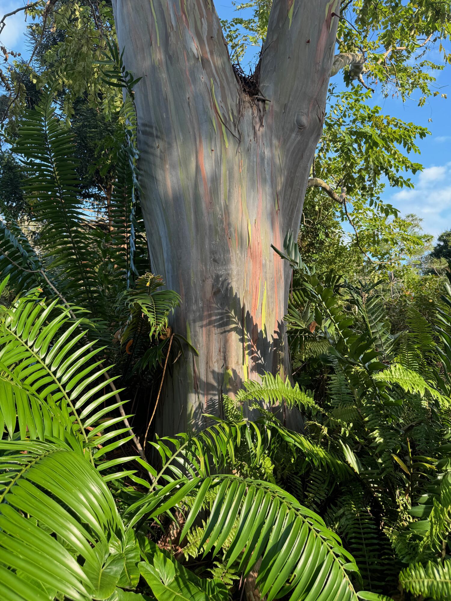 2910 Deer Creek Country Club Boulevard