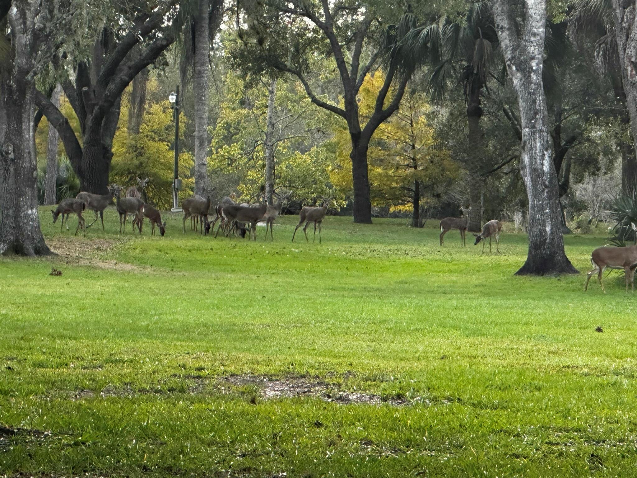 32801 Us Highway 441 167