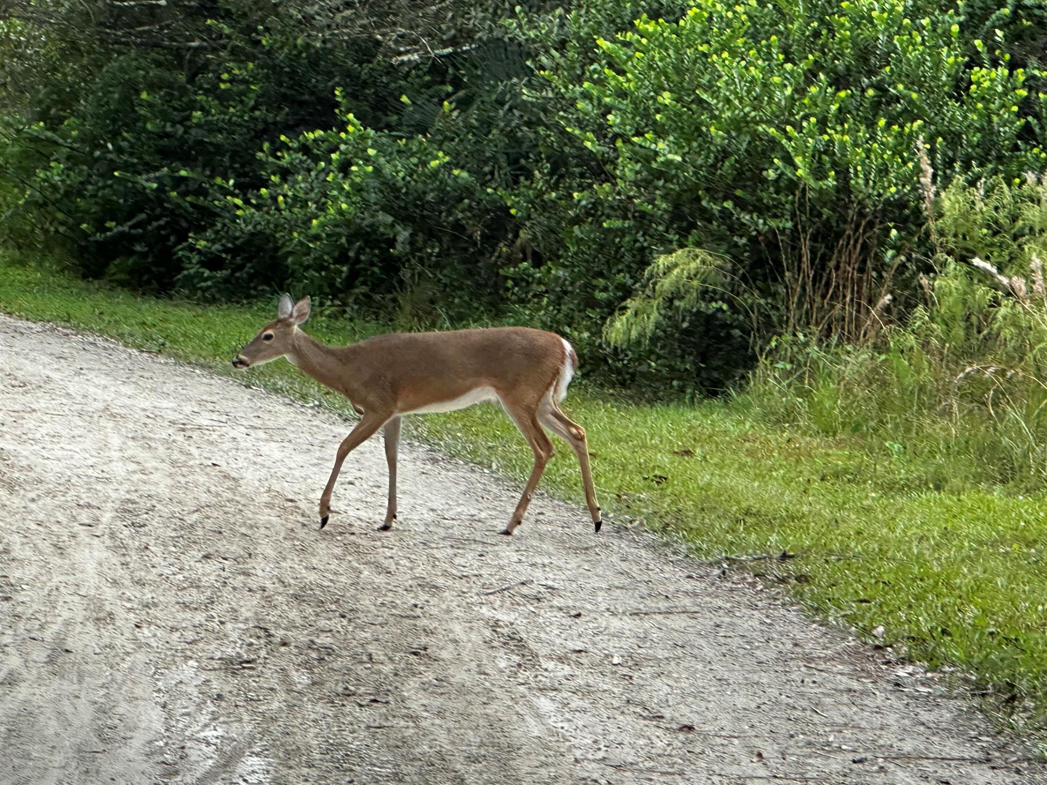 32801 Us Highway 441 167