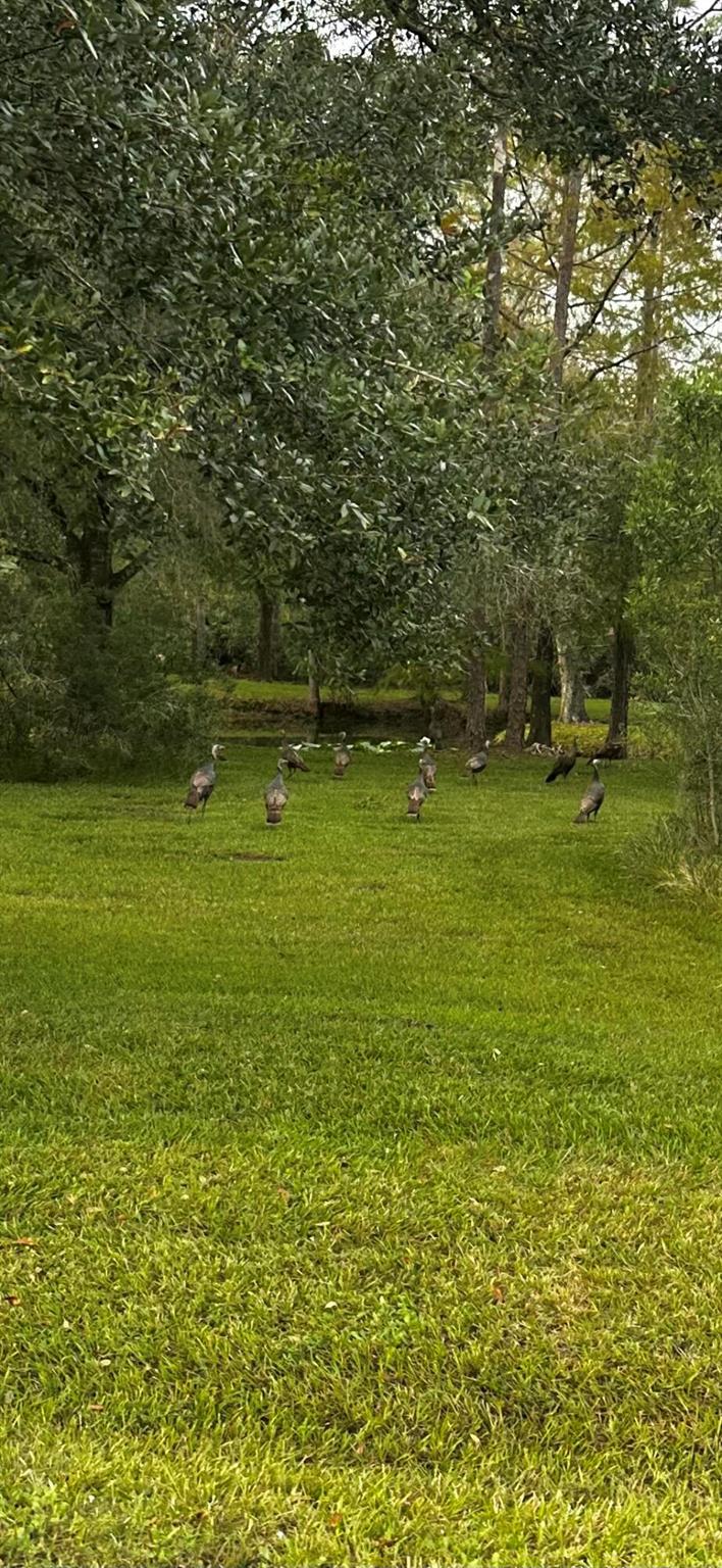 32801 Us Highway 441 167