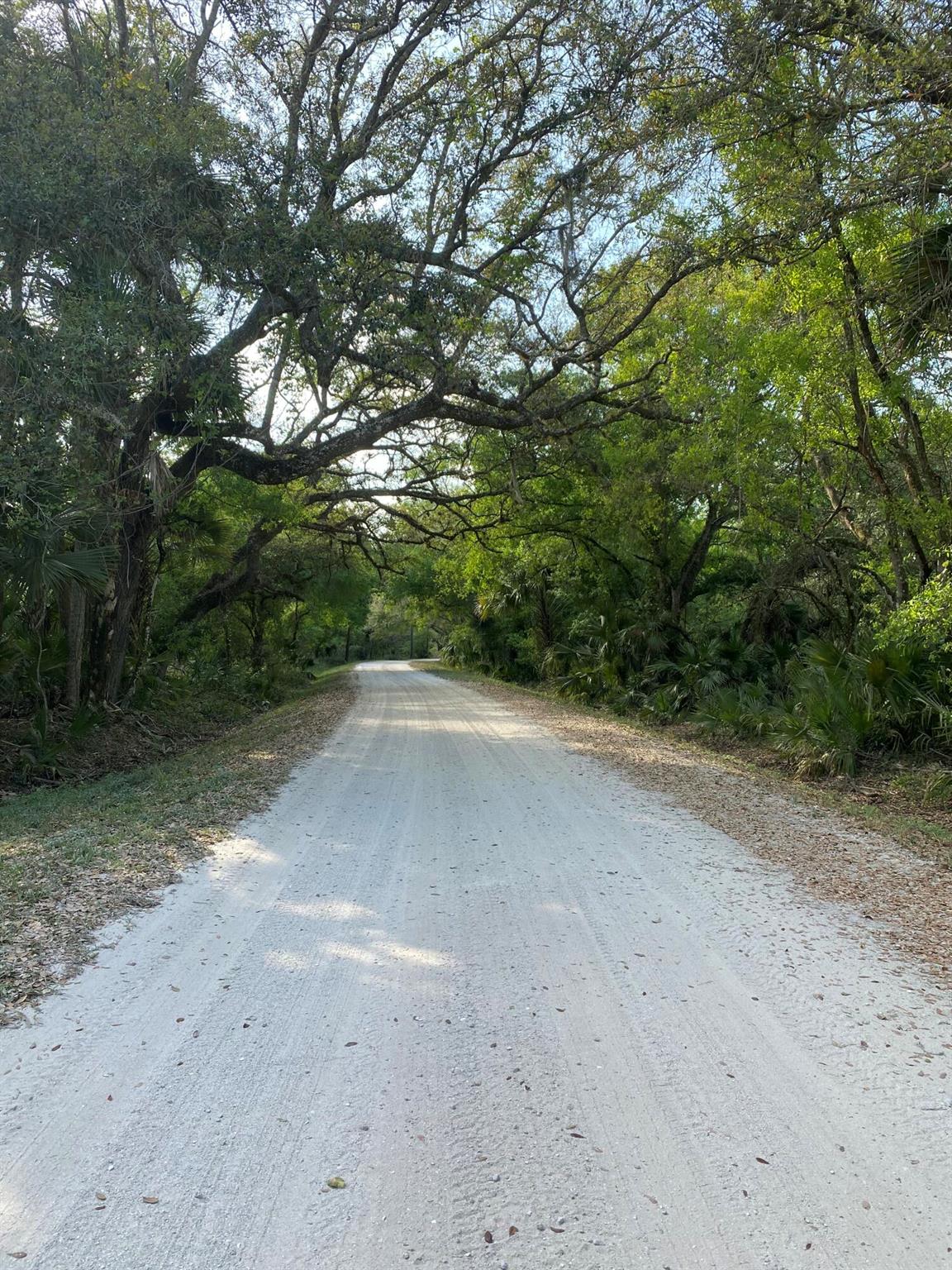 32801 Us Highway 441 167