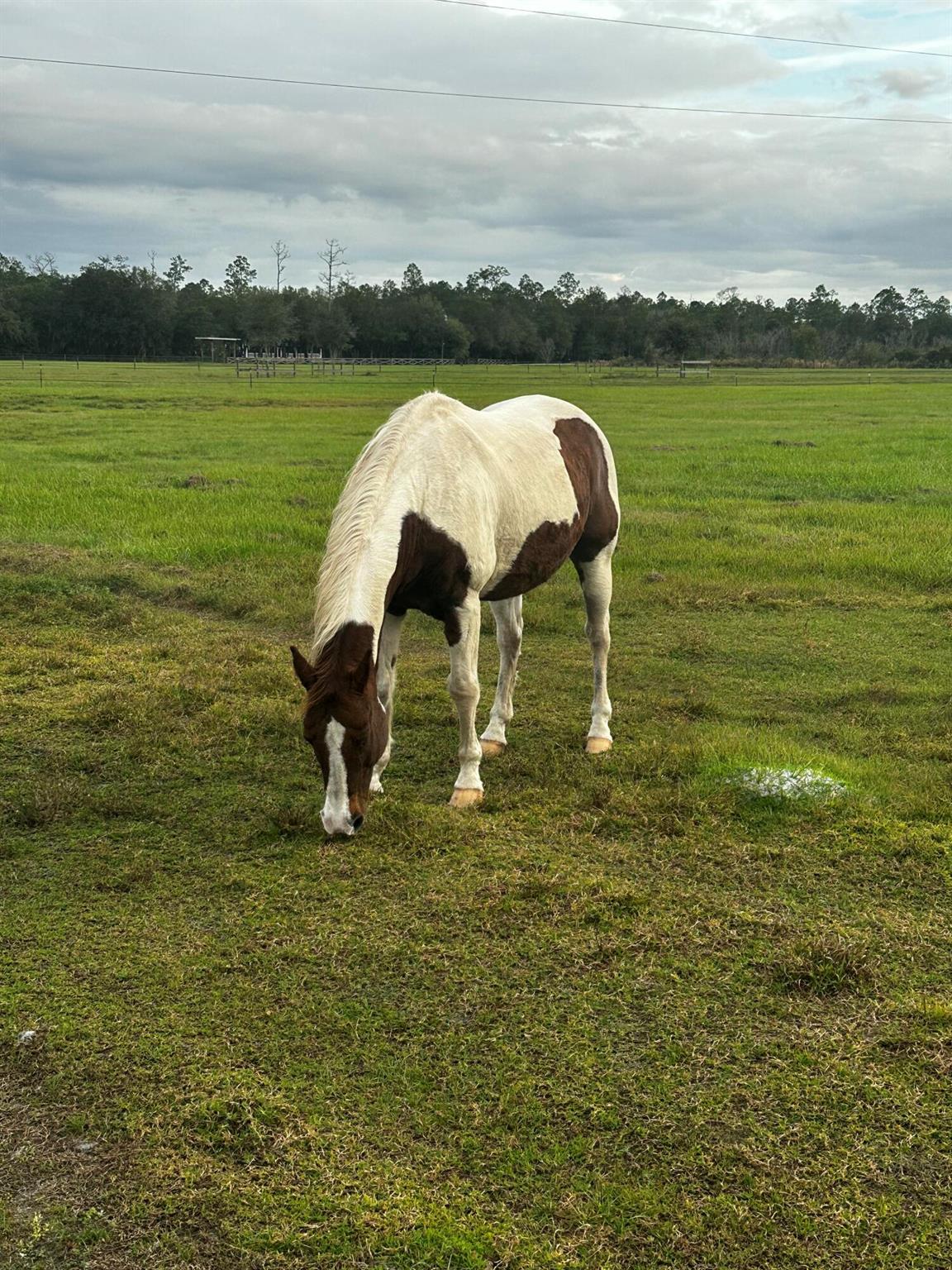 32801 Us Highway 441 167