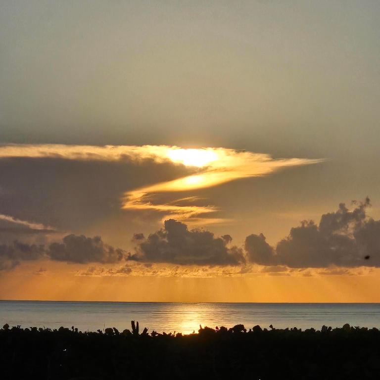 2003 N Ocean Boulevard 1504