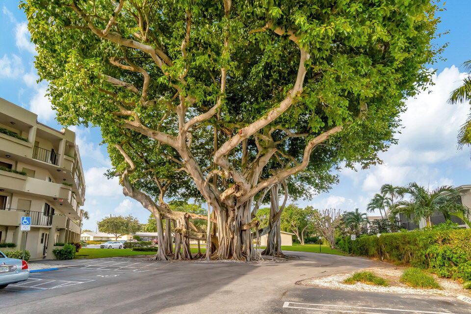 555 Banyan Tree Lane 302