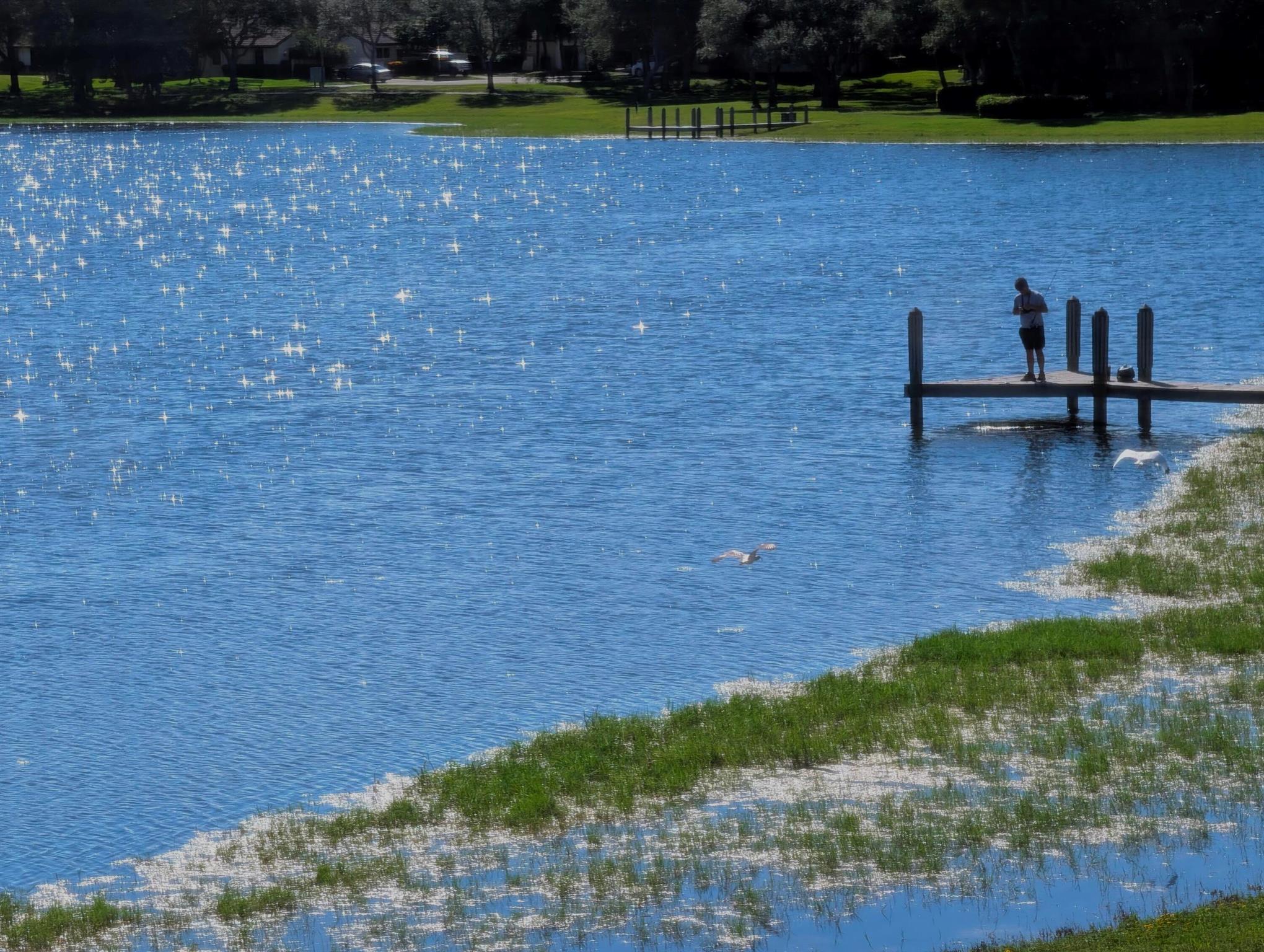 330 Norwood Terrace N217