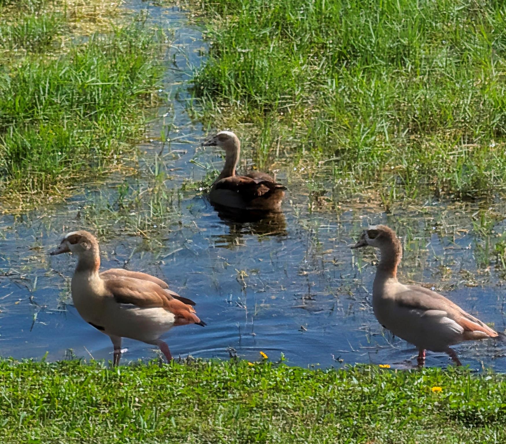 330 Norwood Terrace N217