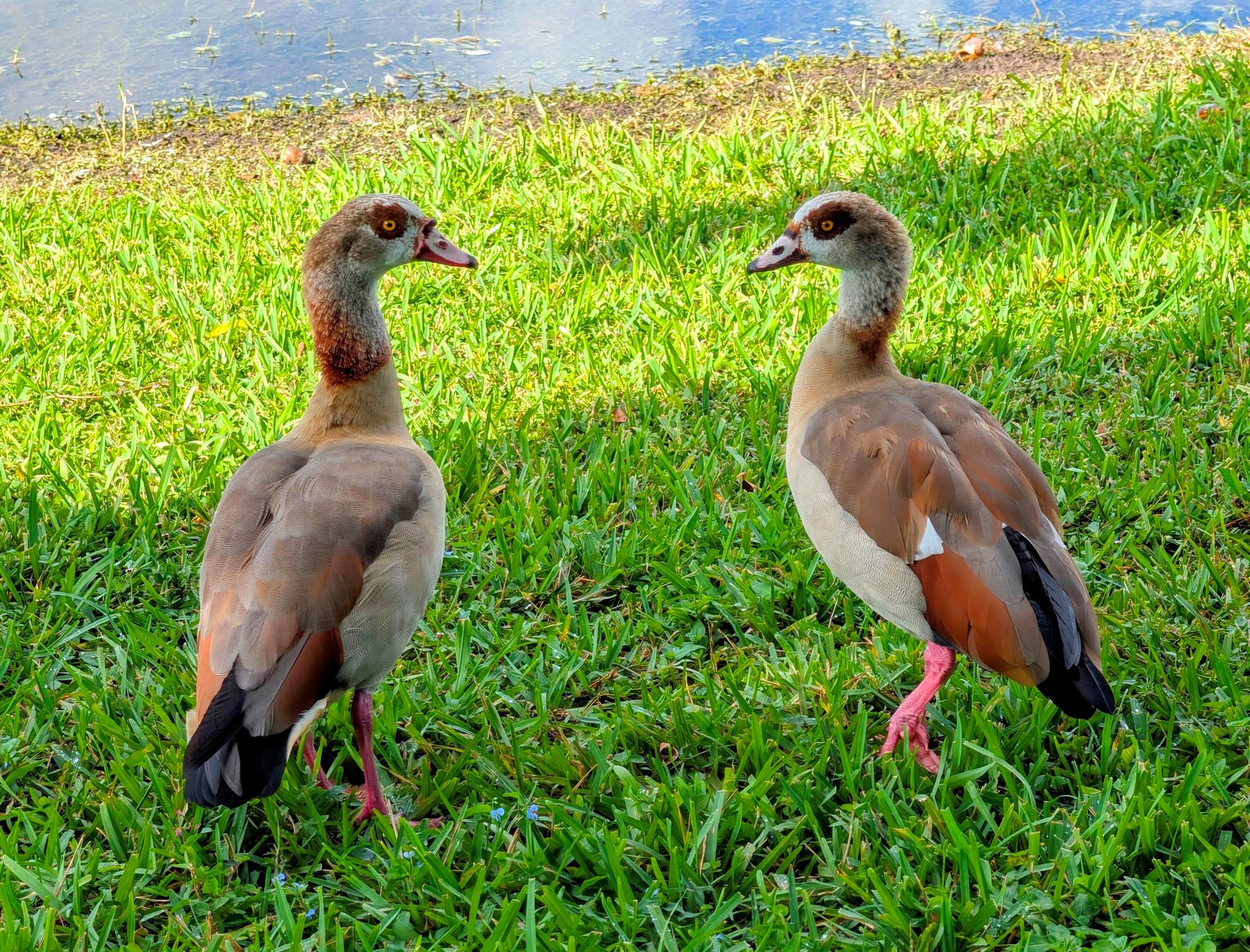 330 Norwood Terrace N217