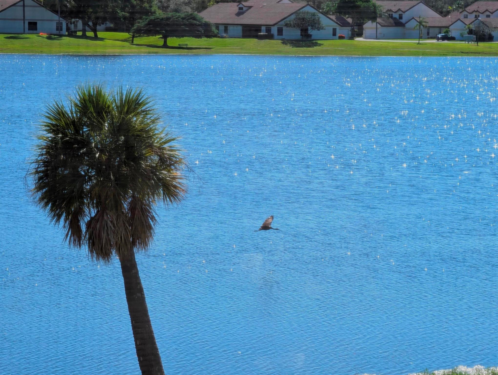 330 Norwood Terrace N217