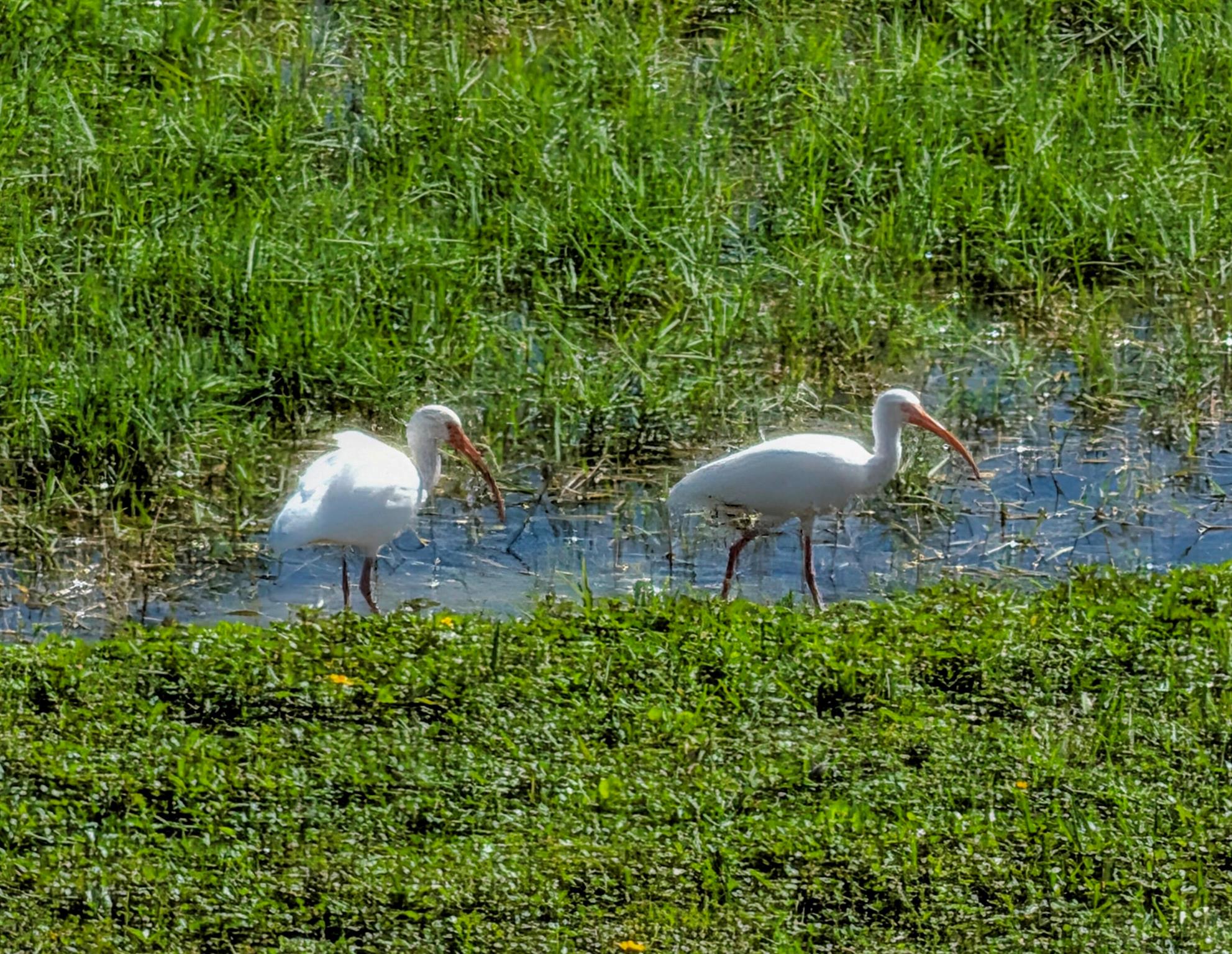 330 Norwood Terrace N217