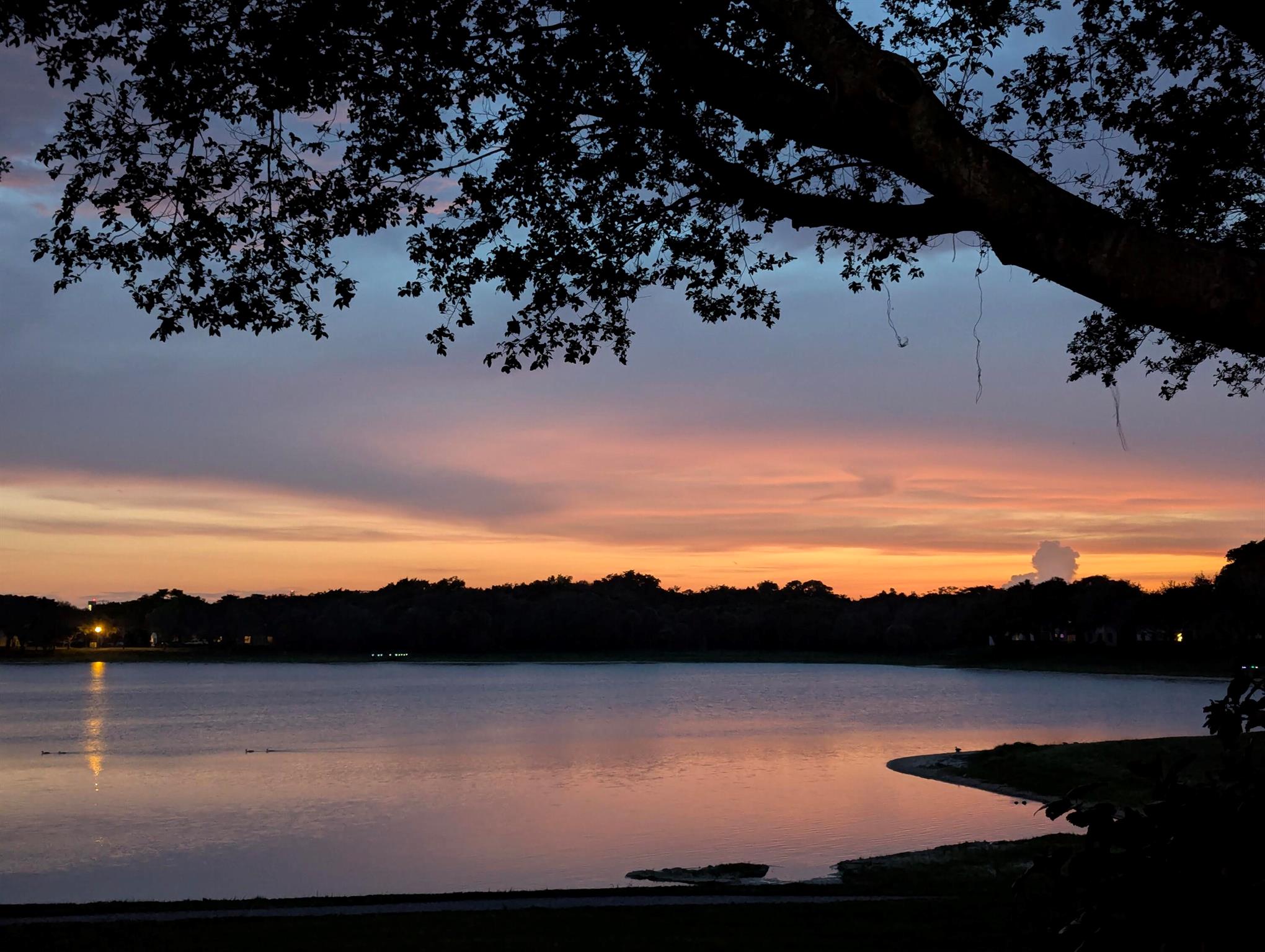 330 Norwood Terrace N217