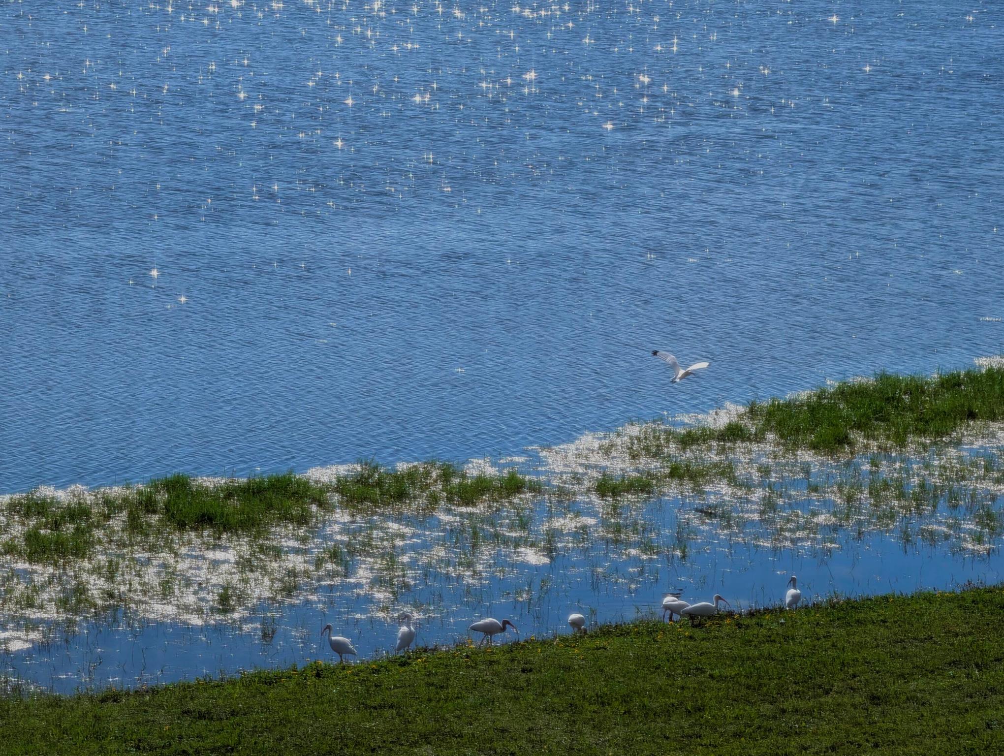 330 Norwood Terrace N217