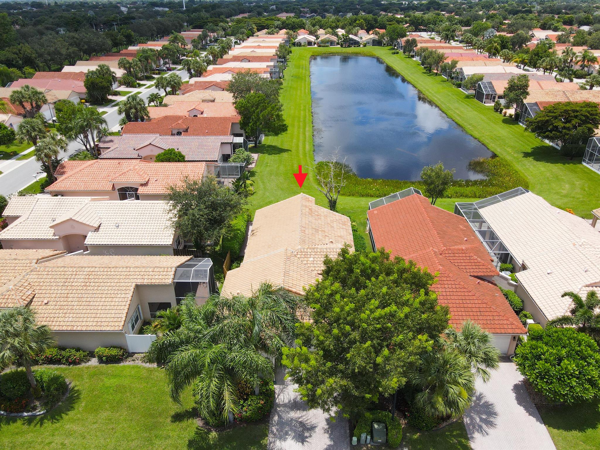 11949 Rosetree Terrace