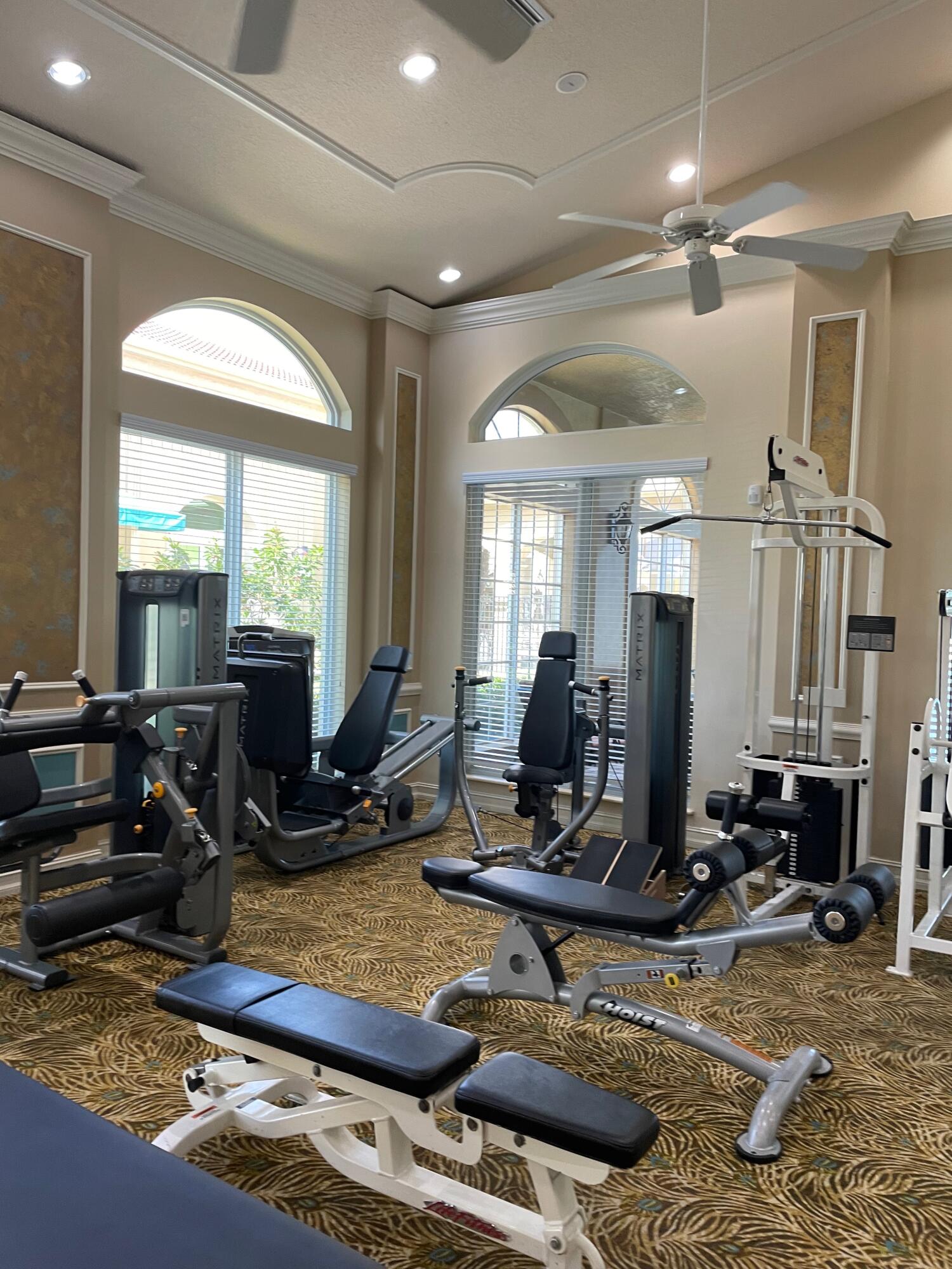 11949 Rosetree Terrace