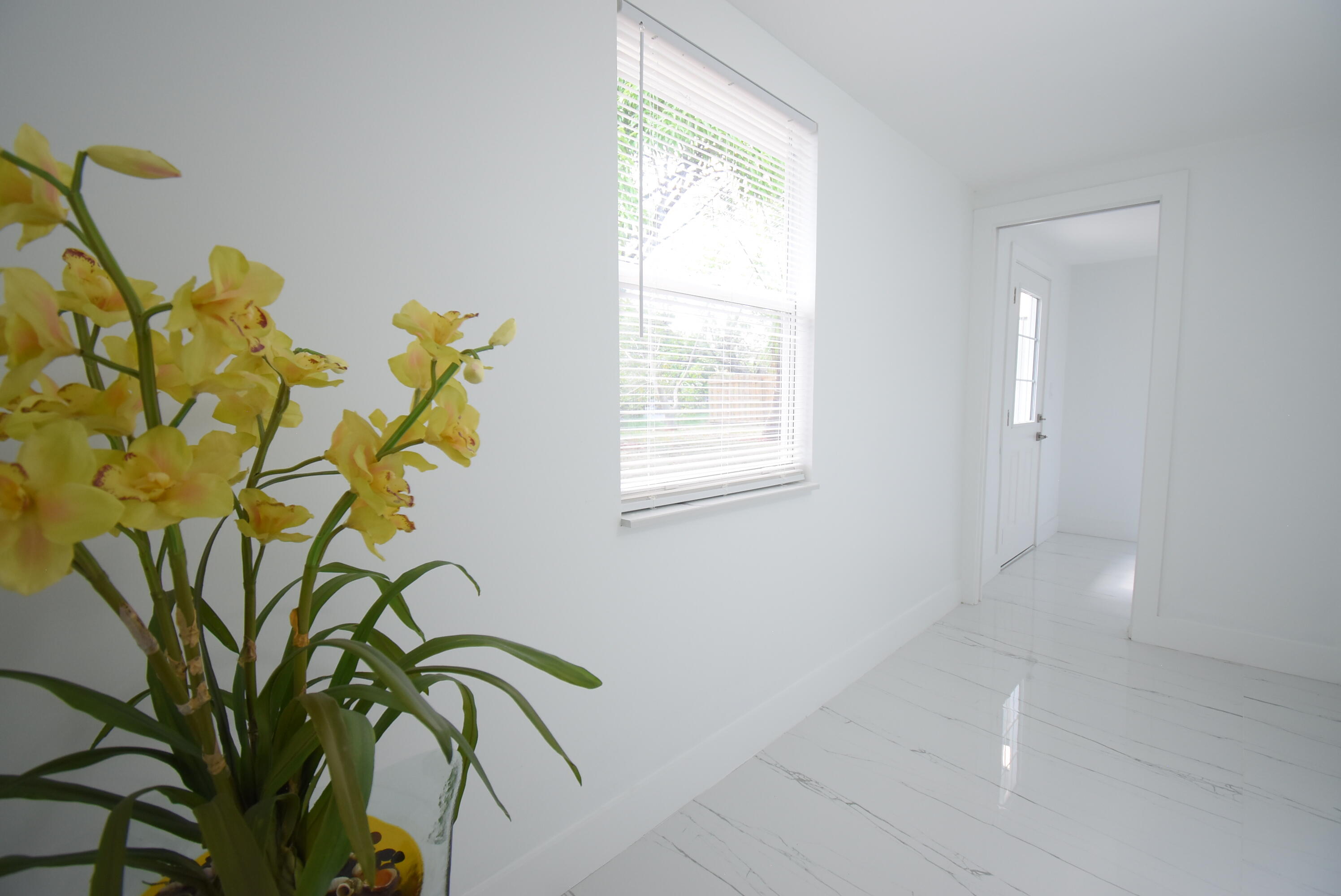 3541 NW 37th Avenue