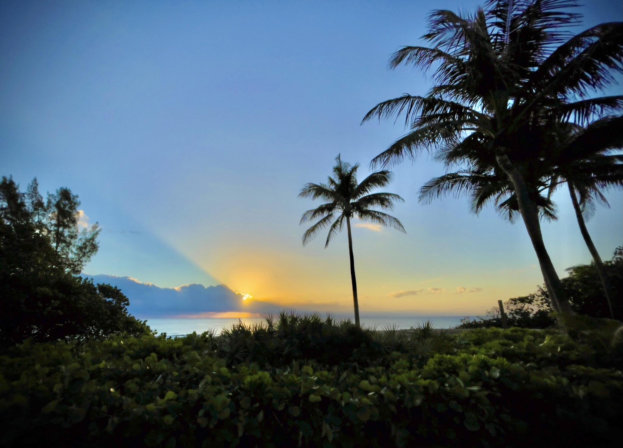 5240 Copperleaf Circle