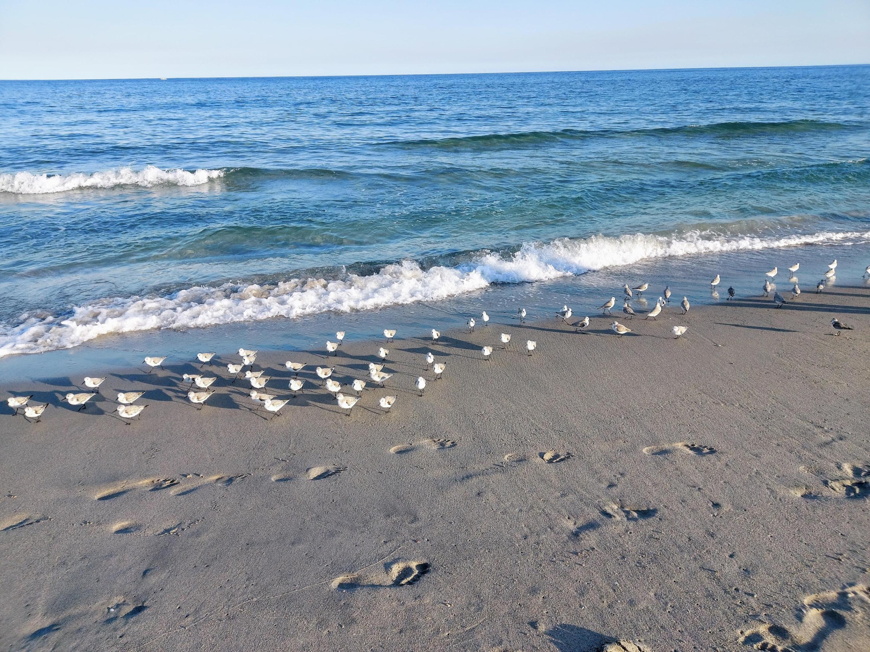 5505 N Ocean Boulevard 2-201