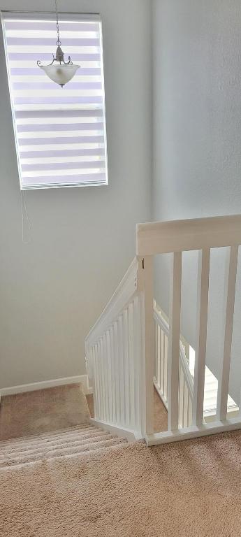 11357 NW 87th Lane, Doral