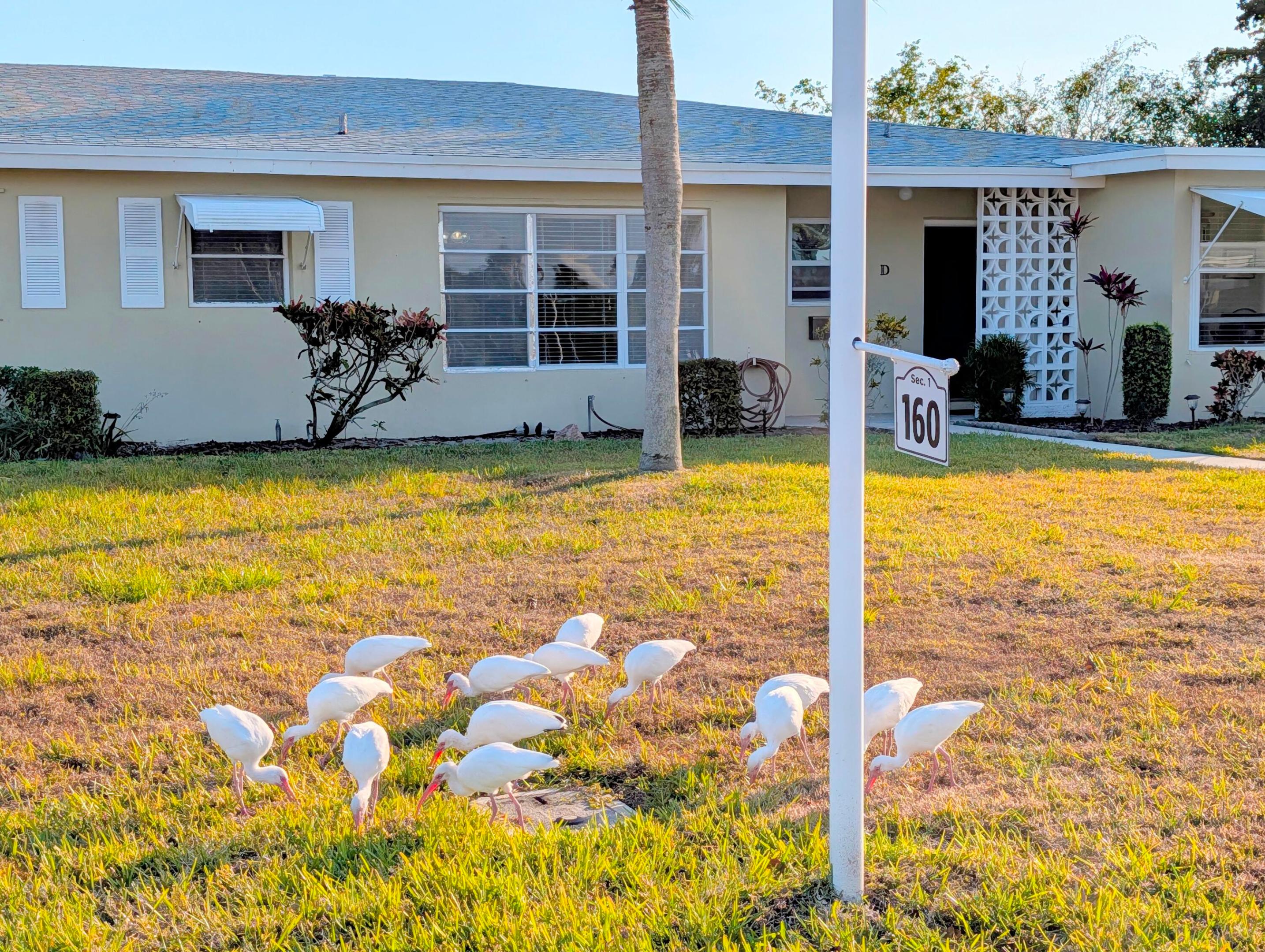 160 High Point Terrace E C