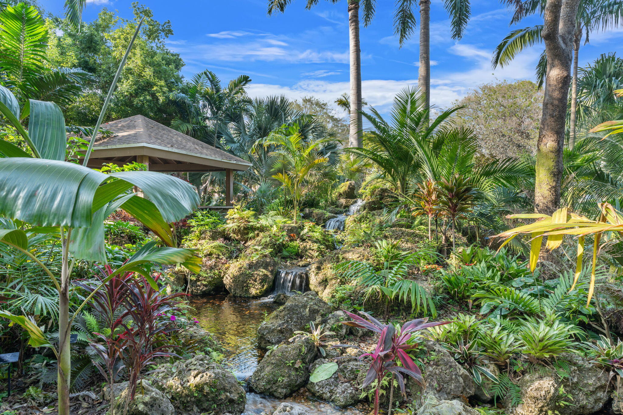 2046 Deer Creek Woodlands Place