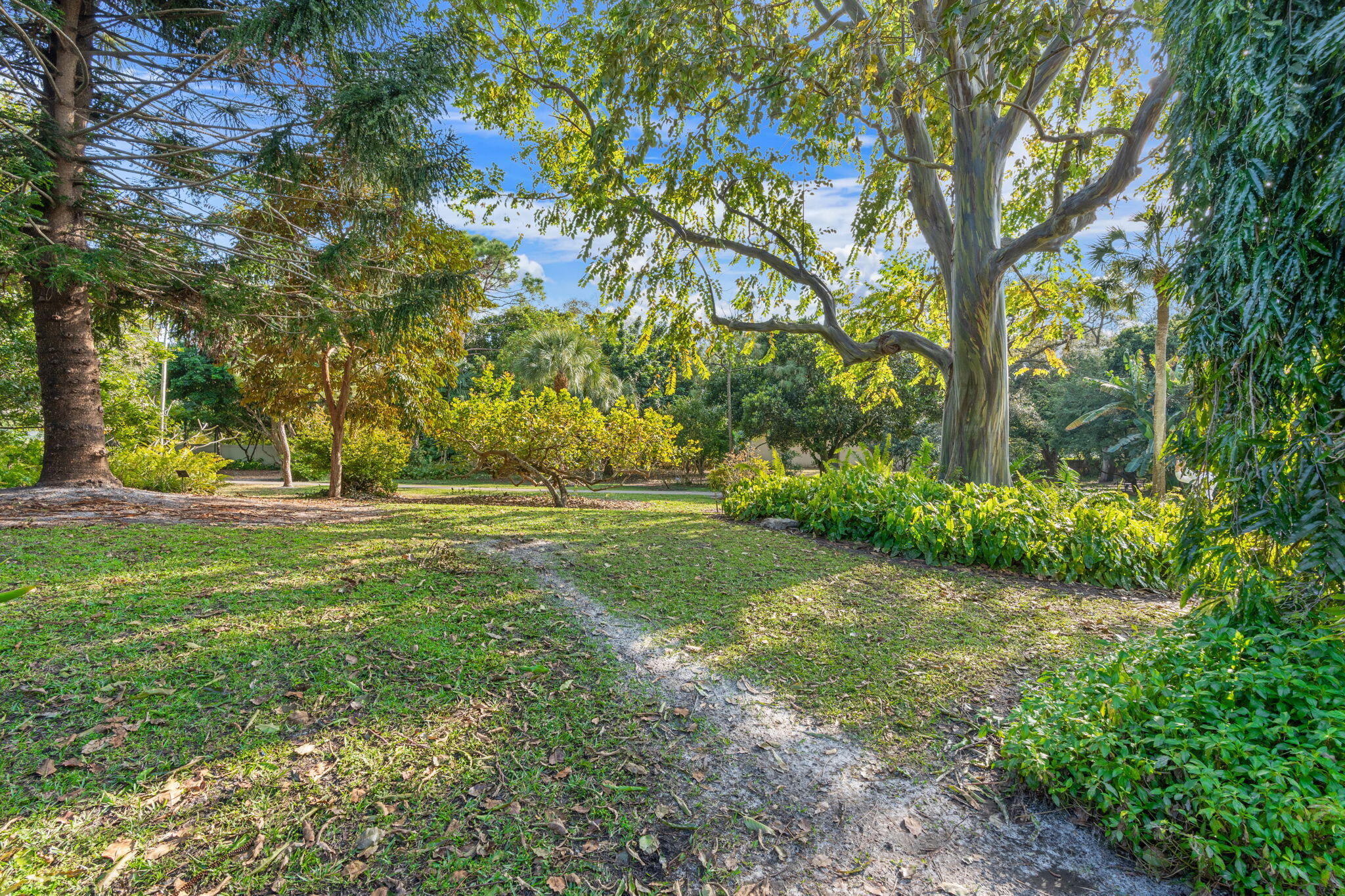 2046 Deer Creek Woodlands Place