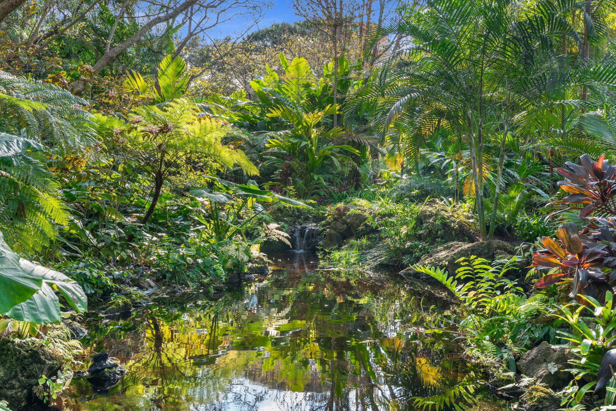 2046 Deer Creek Woodlands Place