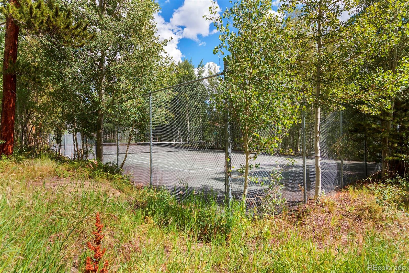 4200 Lodge Pole Circle Unit: 108