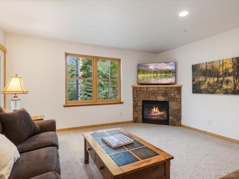 337 Streamside Lane Unit: 103