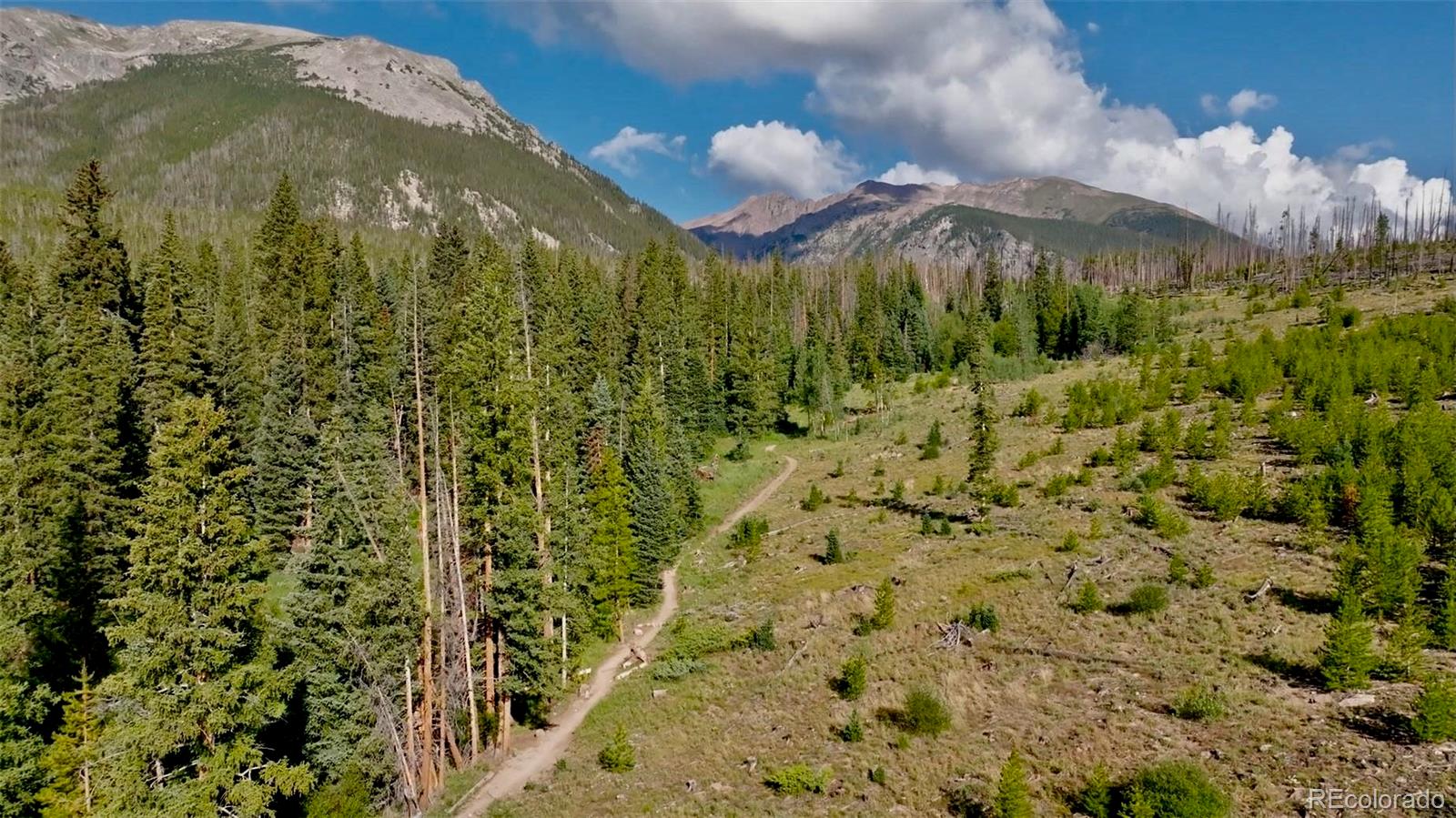Aerial view of a mountain property with a winding dirt trail, evergreen forest, and rugged peaks.