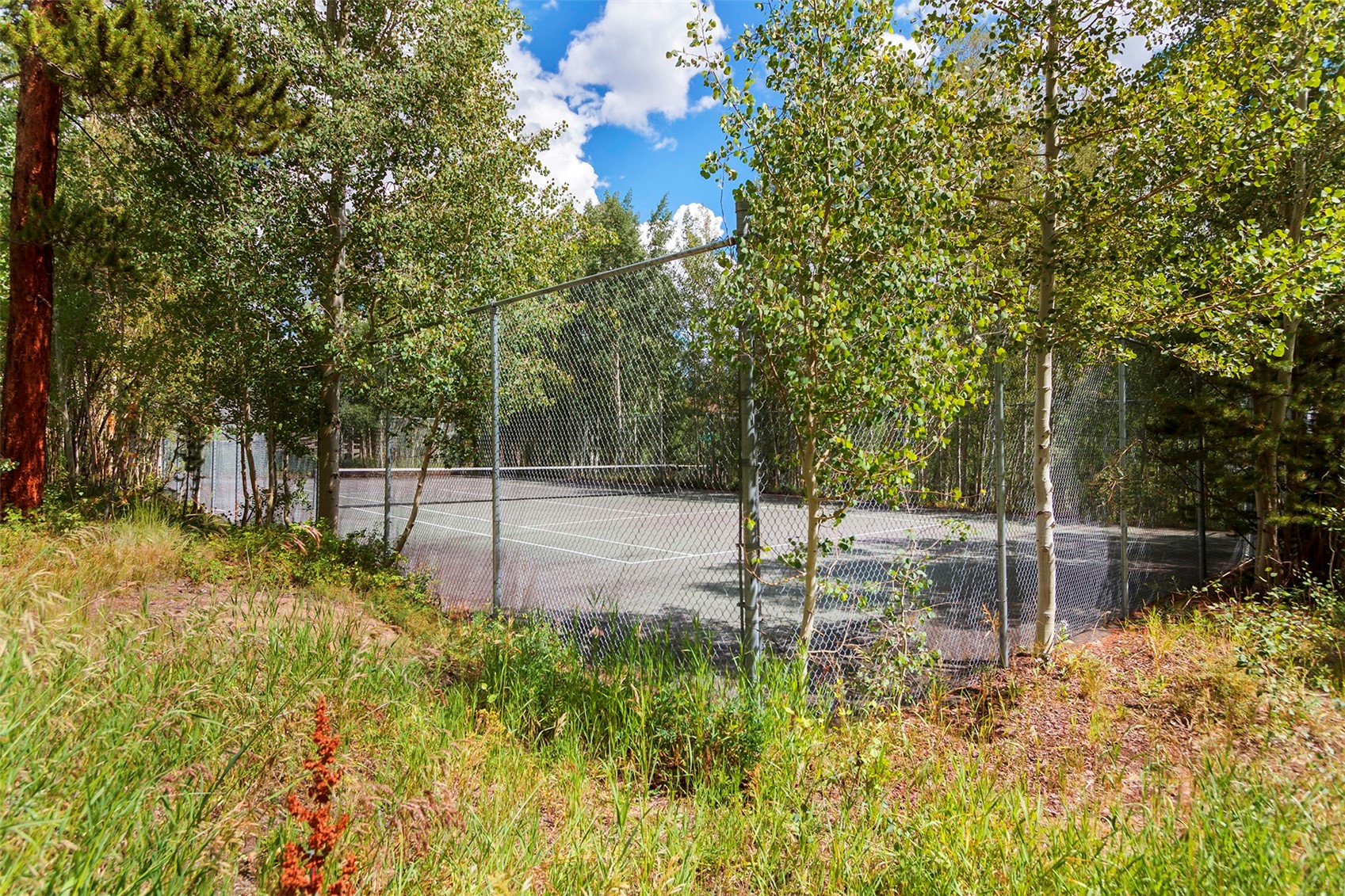 4200 Lodge Pole CIRCLE 108