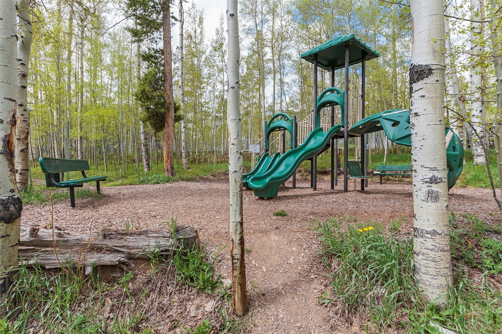 4200 Lodge Pole CIRCLE 108