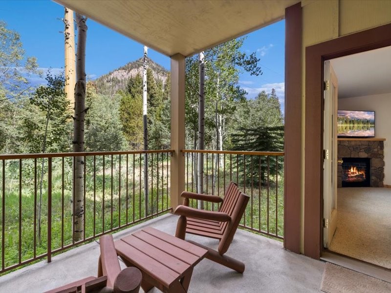 337 Streamside LANE 103